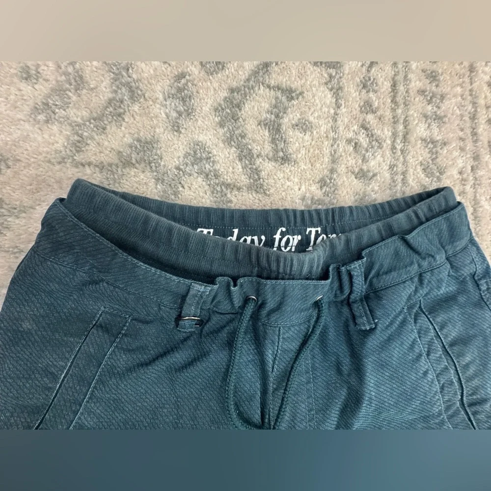 Men’s Publish Jogger Pants Size 30 Blue Green Like New